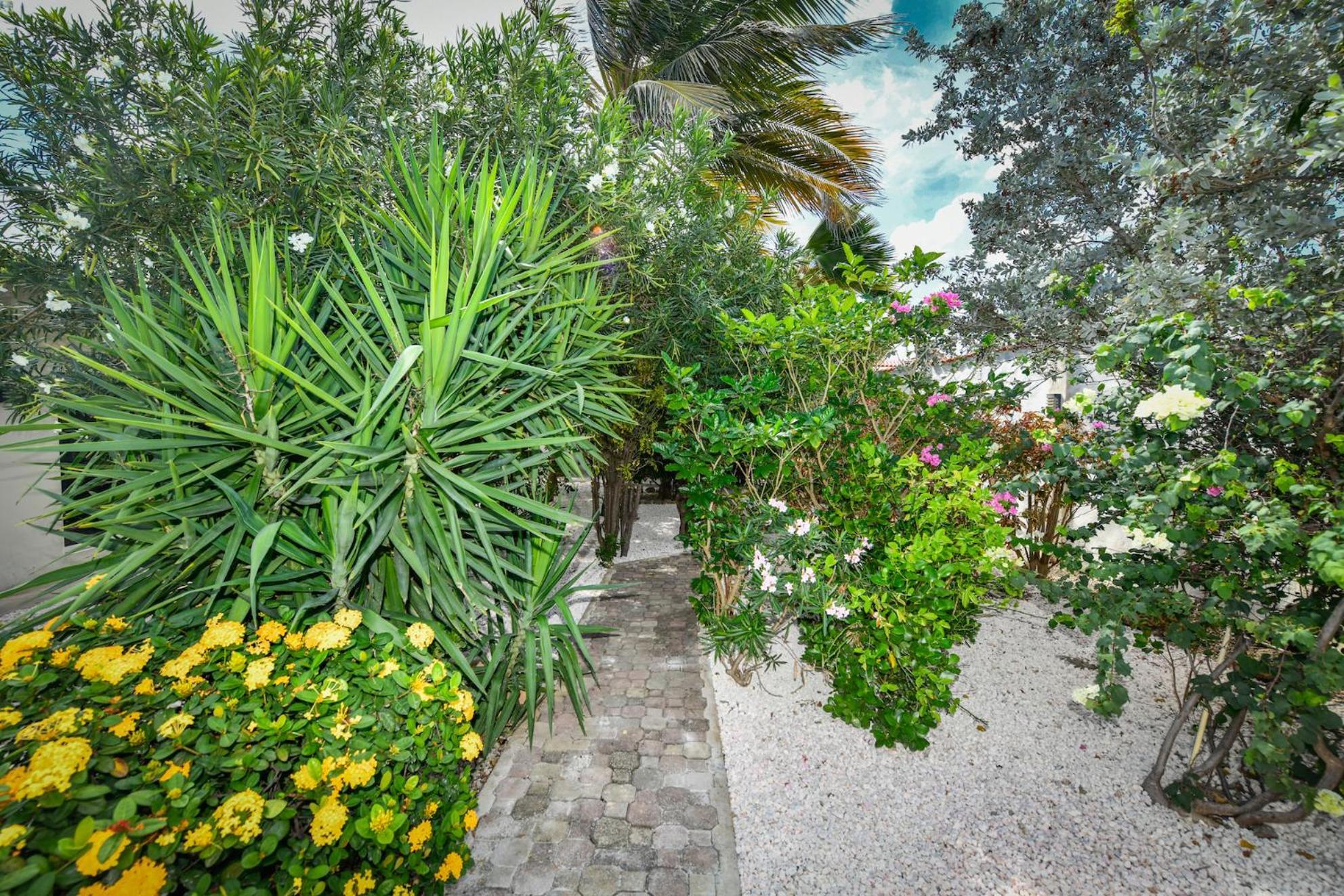 Aloe B&B Oranjestad Dış mekan fotoğraf