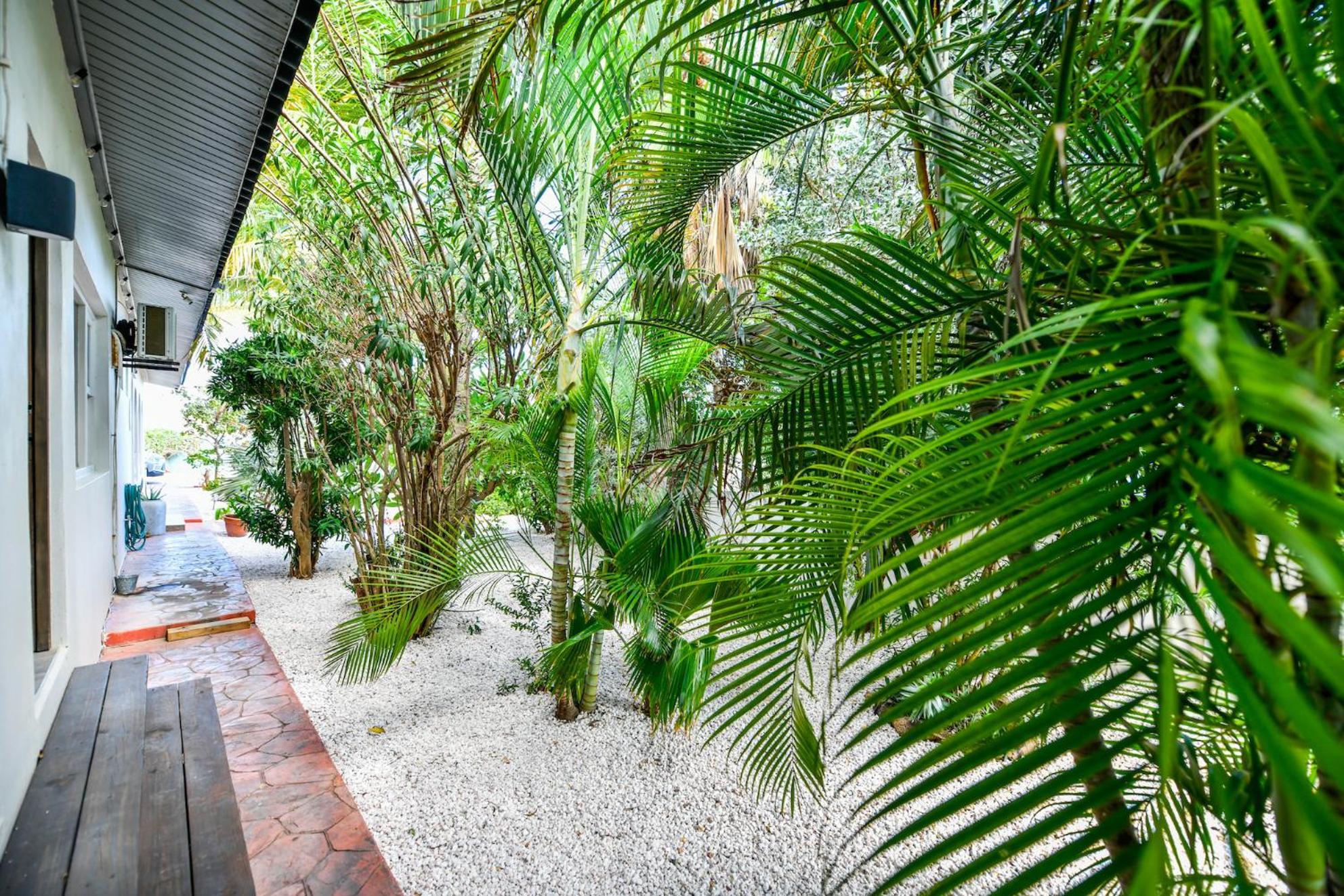 Aloe B&B Oranjestad Dış mekan fotoğraf