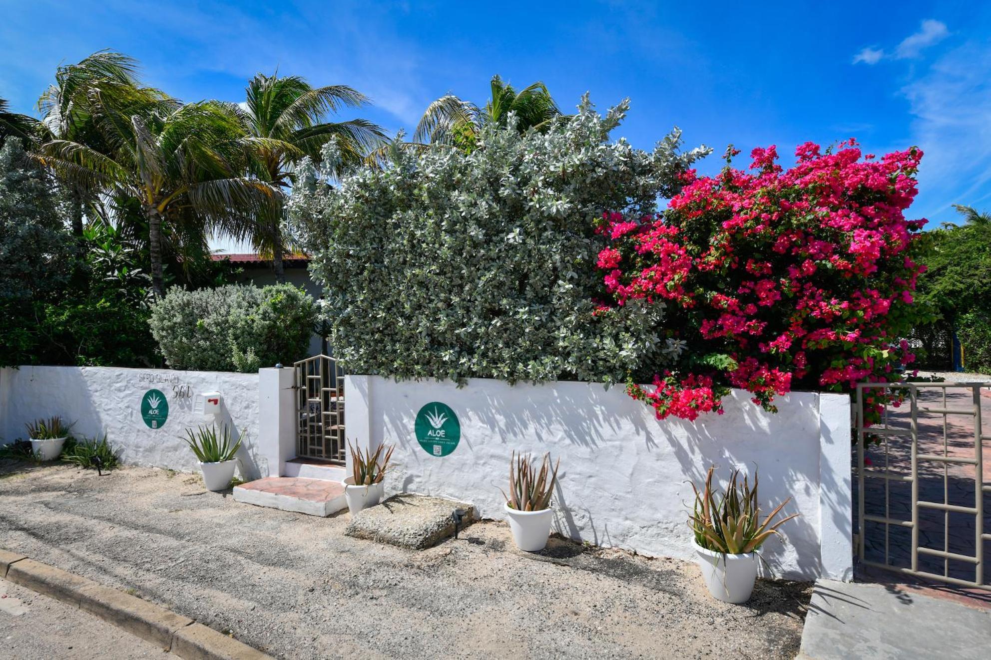 Aloe B&B Oranjestad Dış mekan fotoğraf